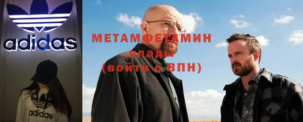 прущие грибы Медногорск