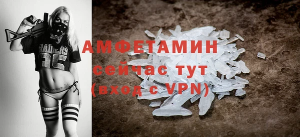 прущие грибы Медногорск