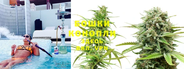 прущие грибы Медногорск