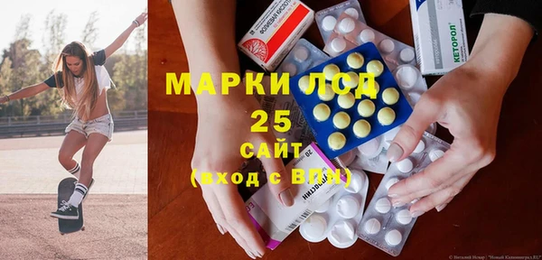 прущие грибы Медногорск
