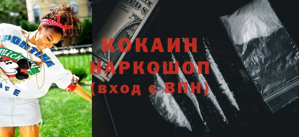 прущие грибы Медногорск
