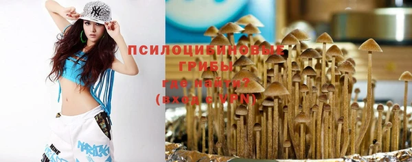 ПСИЛОЦИБИНОВЫЕ ГРИБЫ Мегион