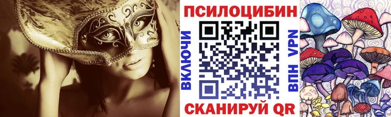 цены   Шарыпово  Псилоцибиновые грибы Psilocybe 